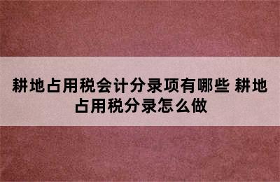 耕地占用税会计分录项有哪些 耕地占用税分录怎么做